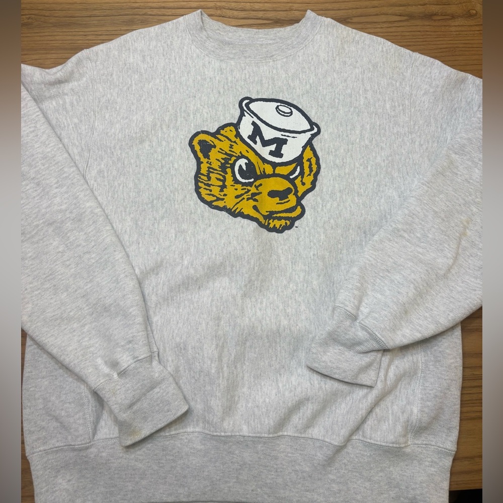 Michigan Pullover Champion Medium